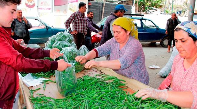 Kaymakçı baklasına Büyükşehir desteği 