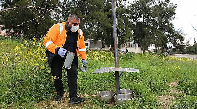 Pandemi ayında "can dostlara" 4 buçuk ton mama dağıtıldı  