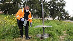 Pandemi ayında "can dostlara" 4 buçuk ton mama dağıtıldı