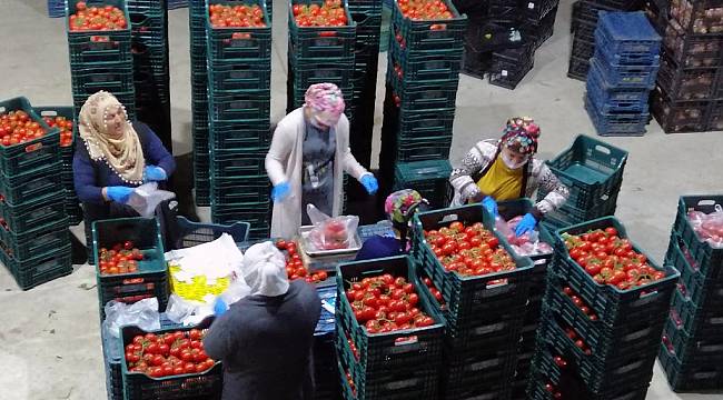 Seyyar Pazar Karşıyaka ve Bornova'ya da geldi 