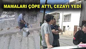Sokak hayvanlarının mamalarını süpüren vatandaşa ceza!