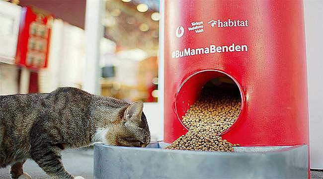 Türkiye Vodafone Vakfı'ndan "Salgında sokak hayvanlarını unutma" çağrısı 