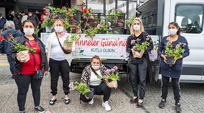 Büyükşehir annelere sardunya dağıtmaya başladı 