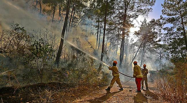 OGM Uyardı: Afrika sıcakları başladı, orman yangınlarına dikkat 