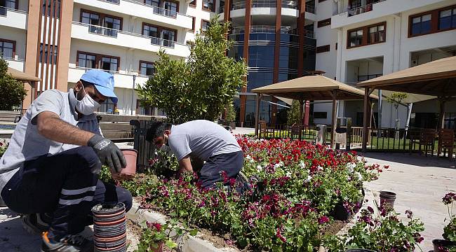 Sosyal Yaşam Kampüsü'ndeki anneler için bahçeye çiçek 