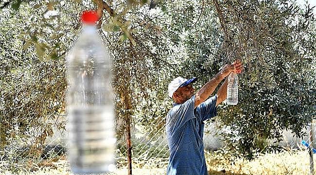 Tire'de Zeytin Sineğine Karşı Toplu Mücadele Protokolü İmzalandı  