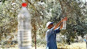 Tire'de Zeytin Sineğine Karşı Toplu Mücadele Protokolü İmzalandı