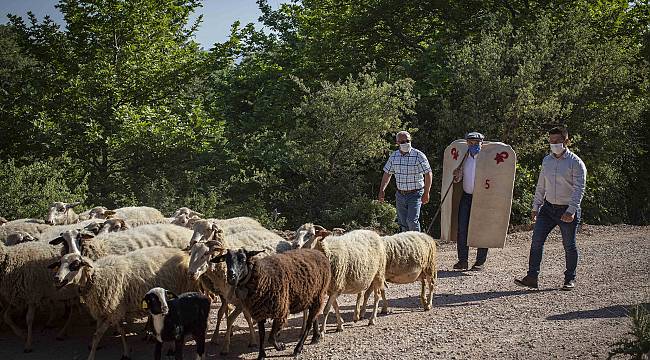 Tunç Soyer: Mera varsa hayat vardır  