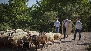 Tunç Soyer: Mera varsa hayat vardır
