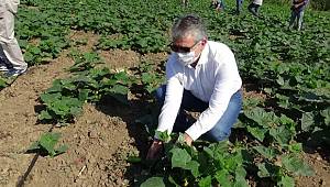 Başkan Arslan: Kazdağları 3T ile gündeme gelecek 