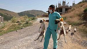 Bayraklı, Karşıyaka ve HAYTAP'tan ortak çalışma 