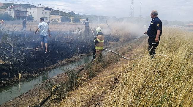 Foça'da kaynaktan sıçrayan kıvılcım 5 dönüm tarlayı yaktı