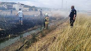 Foça'da kaynaktan sıçrayan kıvılcım 5 dönüm tarlayı yaktı