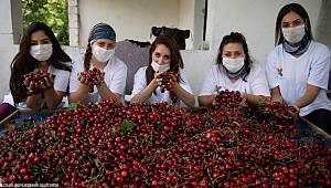 Gönülleri fethettiler 