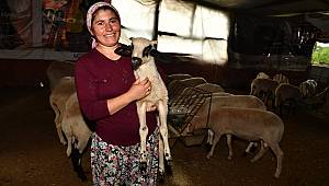 İzmir kırsalında "başka bir tarım" modeli gelişiyor 