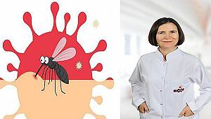 Sinekten koronavirüs geçer mi? 