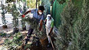 Talatpaşa Bulvarı'nda çalışmalar sürüyor  