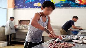 Türkiye'de çocuk işçiliği ile mücadelenin 20 yılı 