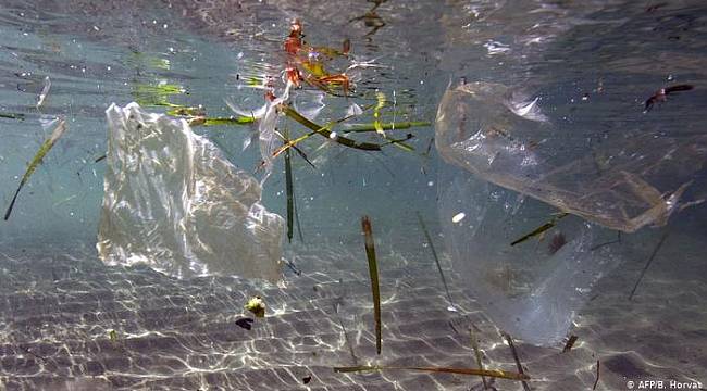 Akdeniz'e her yıl yarım milyon ton plastik atık karışıyor 