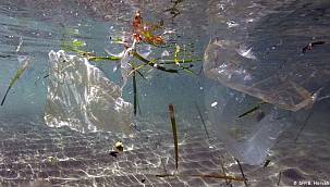 Akdeniz'e her yıl yarım milyon ton plastik atık karışıyor 