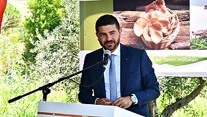 Büyükşehir'den istiridye mantarı üretimine destek 