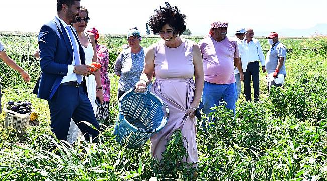 Foça Belediyesi tarım bahçesinde ilk hasat 