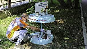 İzmir sıcaklarında Buca Belediyesi'nde mama ve su seferberliği 