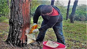 Reçinede Dışa Bağımlılığı Azaltacak Eylem Planı 
