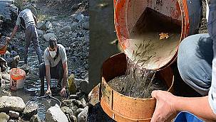 Su birikintisinde mahsur kalan balık yavruları kurtarıldı 