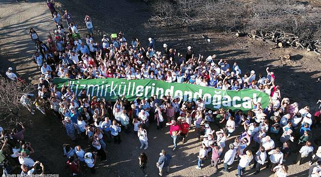 Yangının yıldönümünde Büyükşehir'den Orman İzmir raporu 