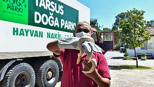 İzmir Büyükşehir Belediyesi Tarsus'a 57 yaban hayvanı gönderdi 