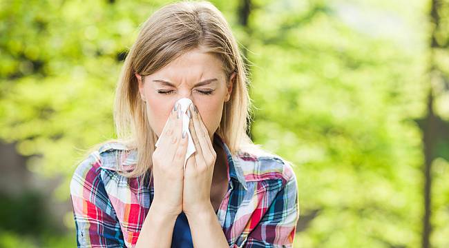 Sonbahar alerjisinden korunmanın yolları 