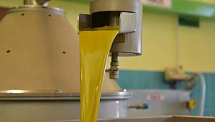 Aliağalı Girişimciden Kaliteli Zeytinyağı Atağı  