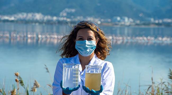 Arıtma suyunun kalitesi Körfez'deki yaşamı da zenginleştiriyor  