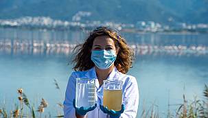 Arıtma suyunun kalitesi Körfez'deki yaşamı da zenginleştiriyor  