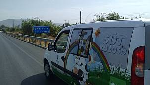 Büyükşehir, süt dağıttığı ilçe sayısını 25'e çıkarttı 