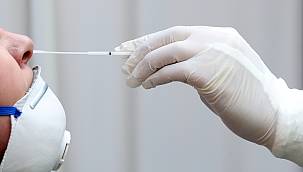 Covid-19'da hangi test ne kadar güvenilir sonuç veriyor?  