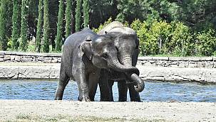 Doğal Yaşam Parkı pazartesi günü açılıyor 