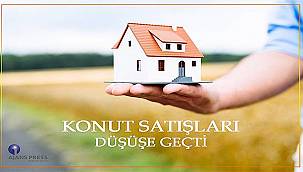 Konut satışları düşüşe geçti 