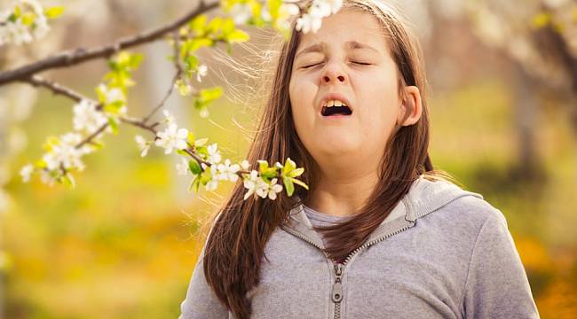  Sonbahar alerjisine karşı 7 etkili öneri!   