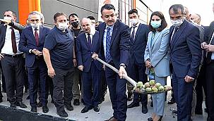 Türkiye'nin en büyük ceviz işleme fabrikası açıldı! 