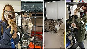 Depremden kurtarılan can dostlar sahiplendiriliyor 