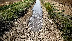 BASİFED'den su uyarısı: "Geleceğin için suya sahip çık" 