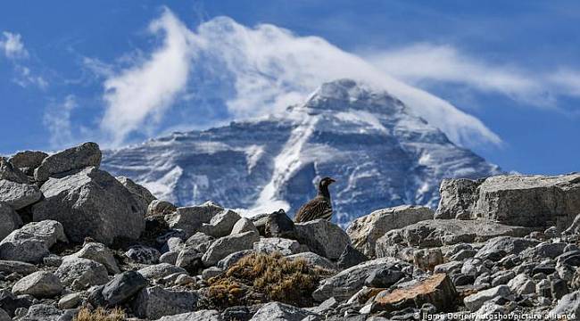 Everest 86 santim "uzadı" 