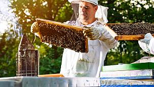 Foça'da "Arıcılığın Desteklenmesi ve Geliştirilmesi" 