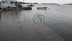 Foça'da Dereler Su Gördü Çiftçinin Yüzü Güldü  