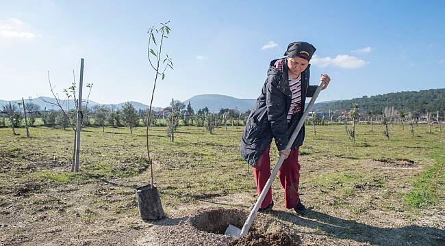 İzmir Büyükşehir Belediyesi'nden üreticiye büyük destek  