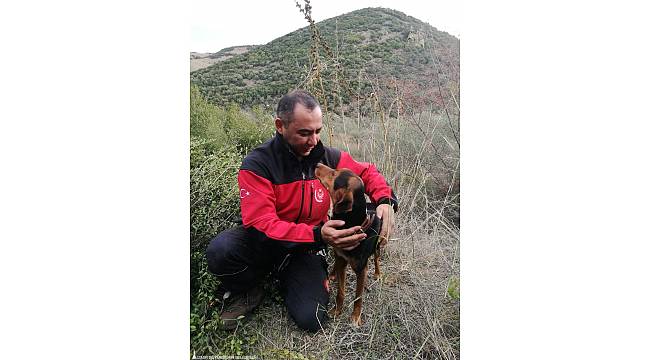 İzmir İtfaiyesi kuyuda mahsur kalan köpeği kurtardı 