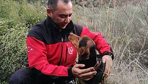 İzmir İtfaiyesi kuyuda mahsur kalan köpeği kurtardı 