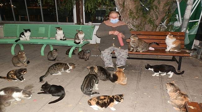 Kısıtlamada mahalle mahalle gezip, sokak hayvanlarını besliyor 